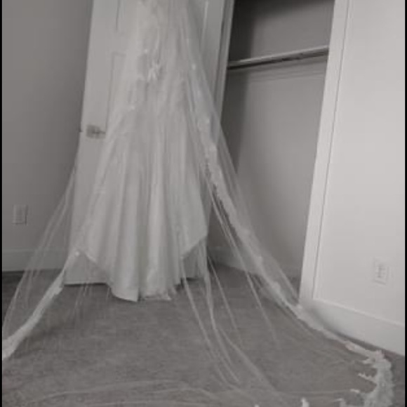 Veil - Picture 6 of 7